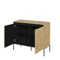 Kommode TREND 2 Eiche Artisan offene
