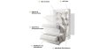 Wandklappbett Bed Concept 90x200 Vertikal Concept Lenart Bett Wie