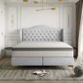 Bett LEGEND Polsterbett mit Matratze Hellgrau Whisper 16 Front Dekor