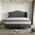 Bett LEGEND Polsterbett Whisper 19 Front Dekor