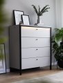 Kommode Lenart GRIS GS-03 grau/schwarz