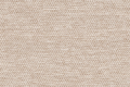 Gemma 04.png