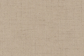 Moly 11 Beige
