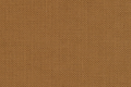 Moly 51 Orange.png