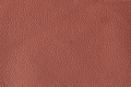 Echleder K-31.png